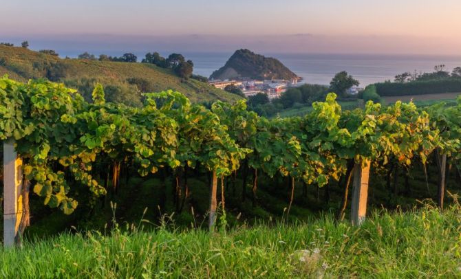 Getaria: foto en Getaria