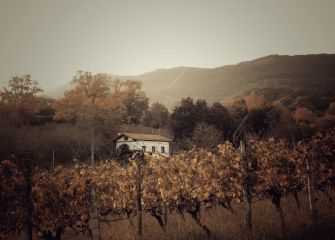 Hondarribia y su otoño
