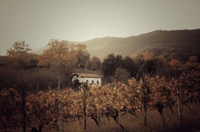 Hondarribia y su otoño: foto en Hondarribia