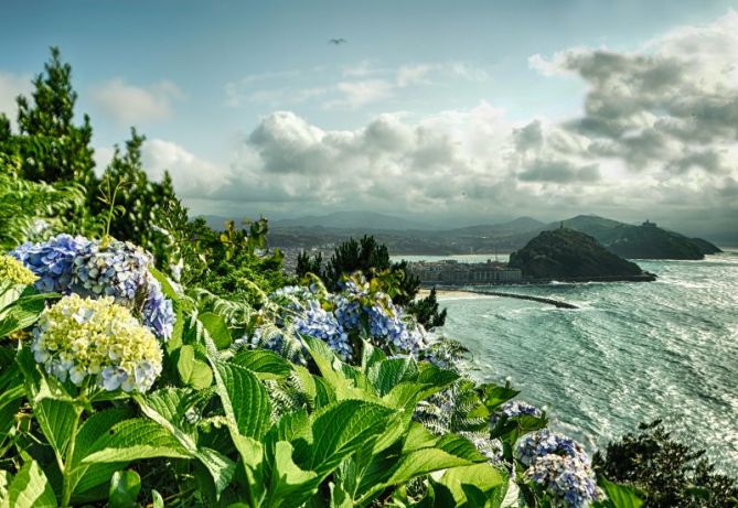 Hortensias: foto en Donostia-San Sebastián
