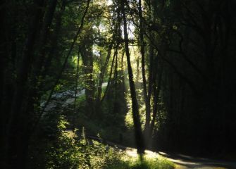 Krepuskulu-izpiak