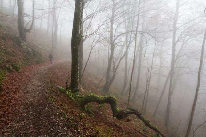 Lainopean: foto en Ataun