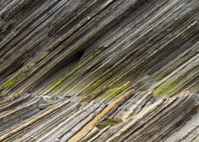 Líneas en Sakoneta.