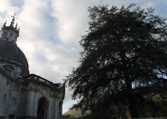Loiola