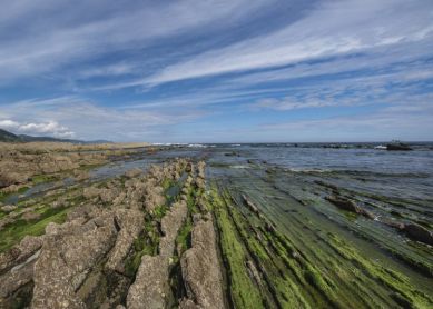 MAREA BAJA -SAKONETA