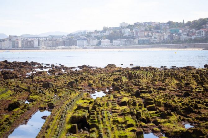 Marea biziak: foto en Donostia-San Sebastián