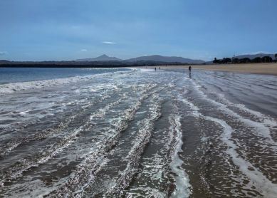 Olas que surcan la orilla