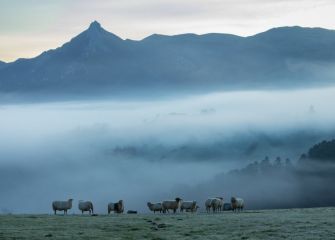 Paisaje invernal