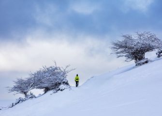 Paseo en la nieve