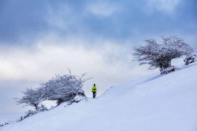 Paseo en la nieve: foto en Zaldibia