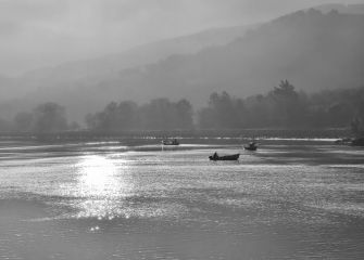pesca 