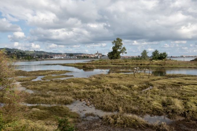 Plaiaundi: foto en Irun