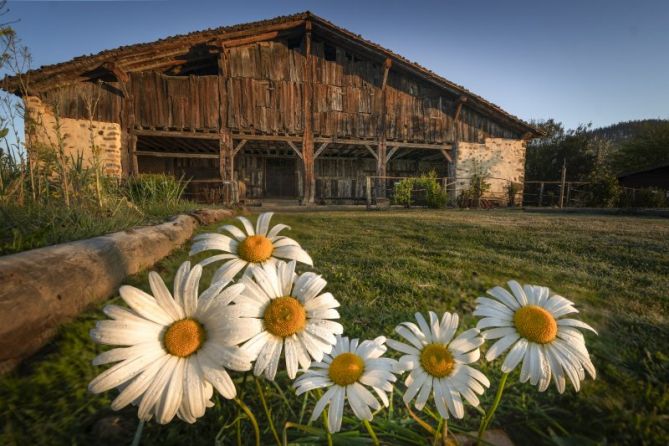 PRIMAVERA : foto en Ezkio-Itsaso