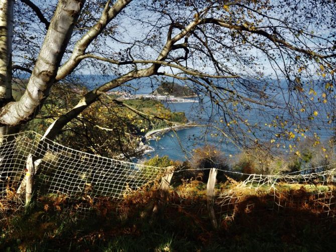 Ratón escondido: foto en Getaria