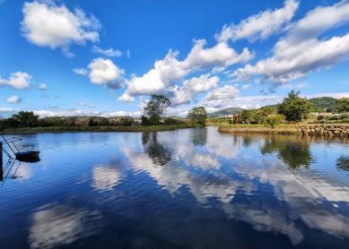 Reflejos e el Bidasoa