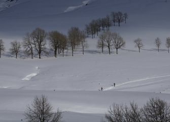 Sintiendo la nieve