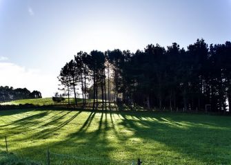 Sombras al atardecer