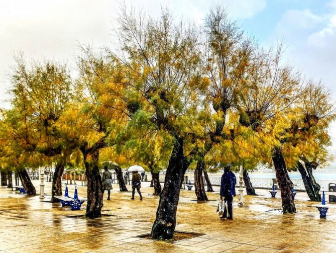 Sonata de Otoño: foto en Donostia-San Sebastián