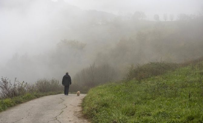Surra: foto en Bergara