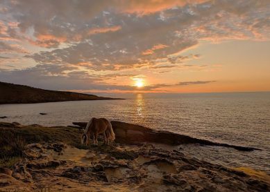 tranquilidad al atardecer