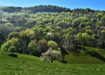 UDABERRIA - PRIMAVERA