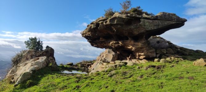 Una china en el camino: foto en Pasaia