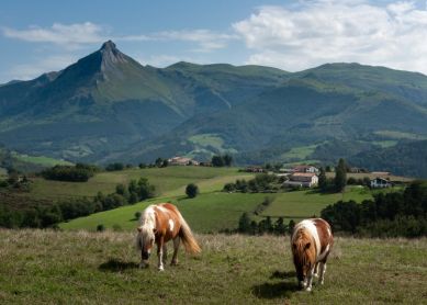La vida en el Goierri