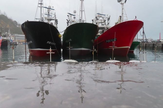 Amarrados