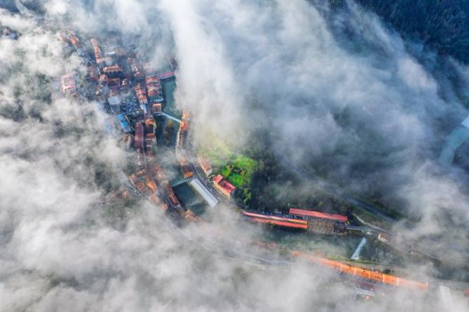 BAJO LA NIEBLA
