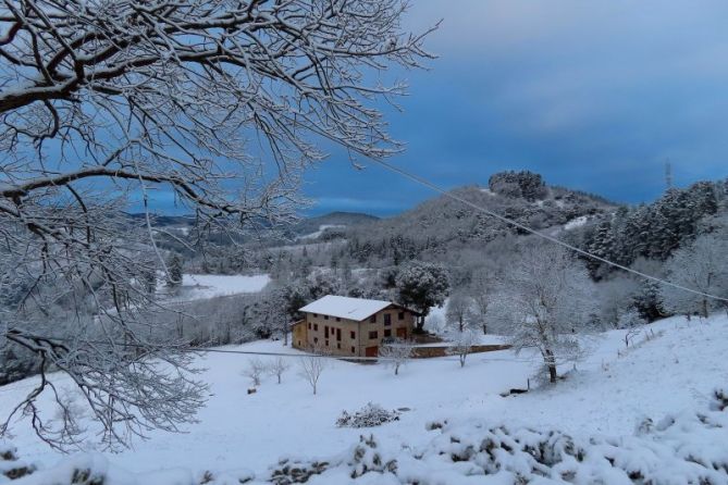 Cuando cae,la nieve.