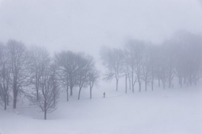 Densa niebla