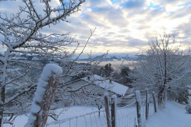 Gran nevada