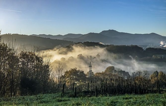 NIEBLA