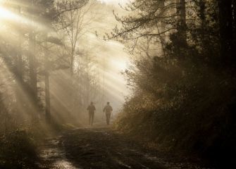 Rayos de luz