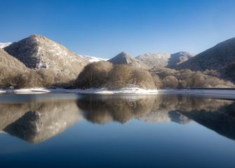 Reflejos
