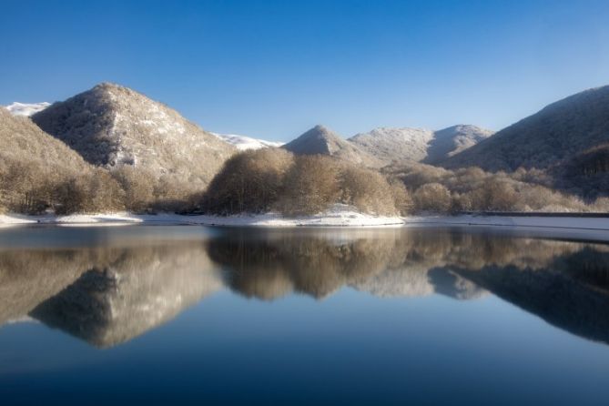 Reflejos